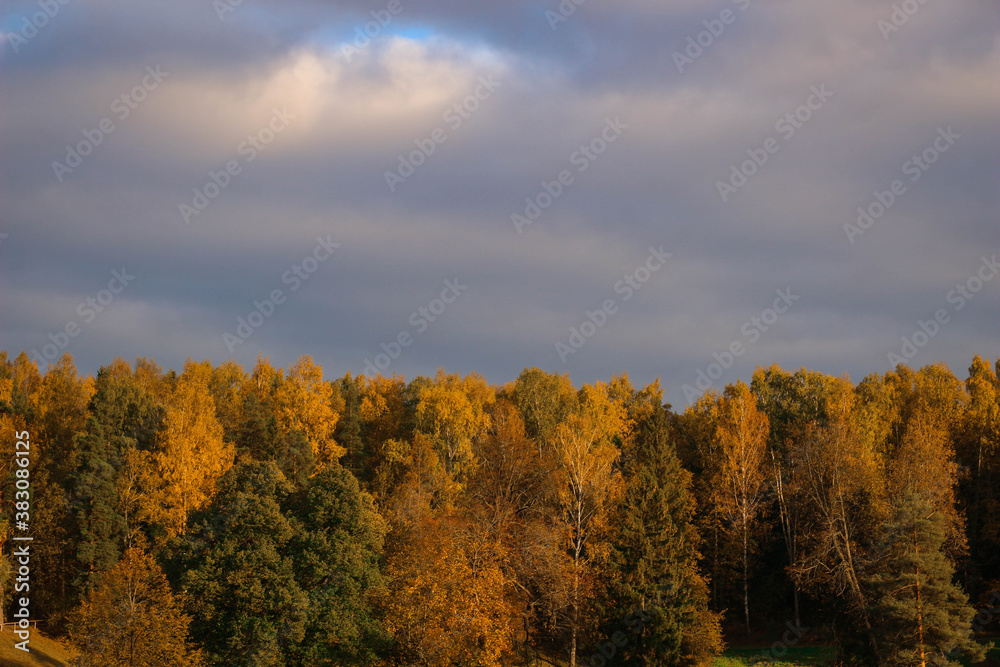 Fototapeta premium Autumn sunny park Landscape. Autumn Trees and River whith a cloudy blue Sky.