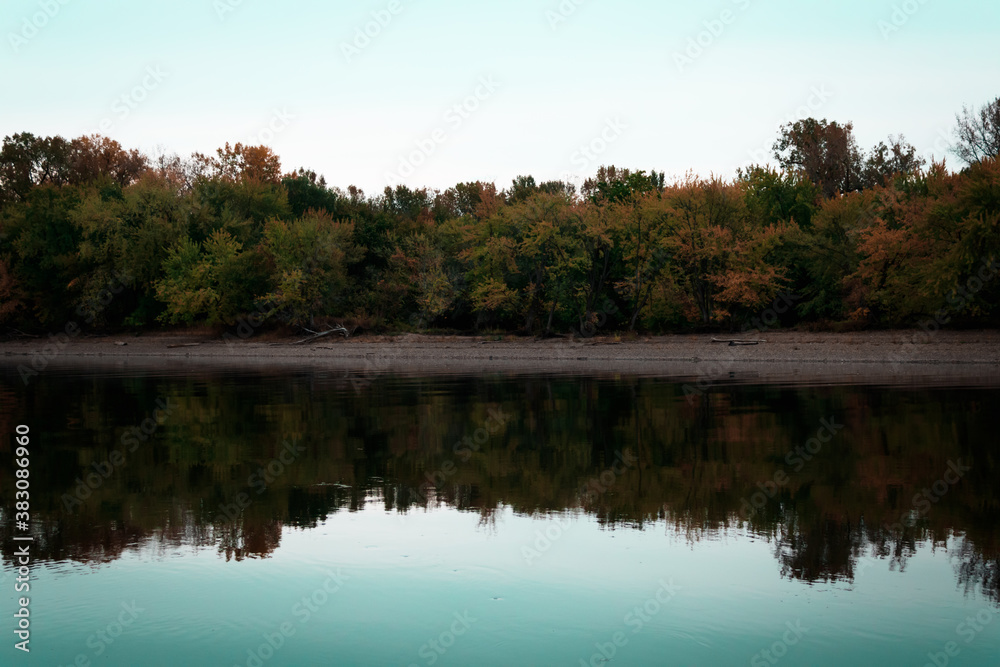 reflection of trees in the lake