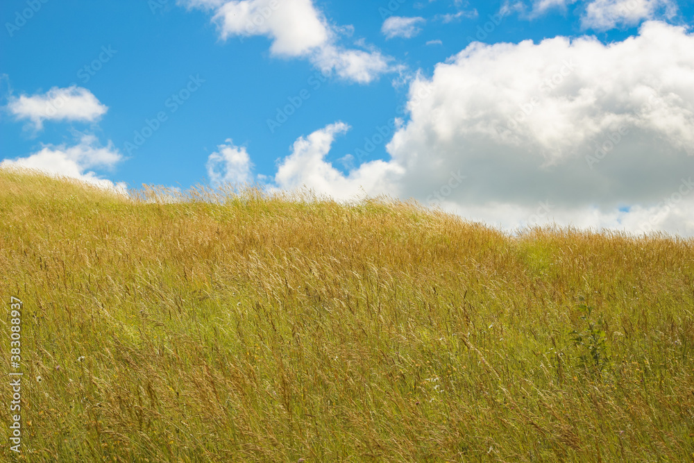 Summer or autumn field, golden grass on beautiful sky background. Summer or autumn field, golden grass on beautiful sky background.