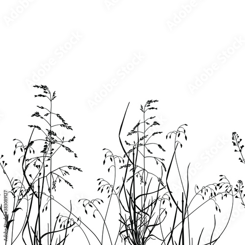 Silhouetted grass and herbs. Horizontally seamless botanical border. Floral background. Summer motif.