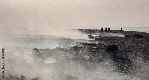 Coast with smoke after wildfire. Burnt wood on the shore