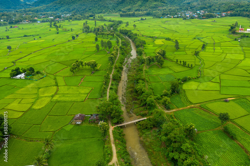 Aerial view of agriculture in paddy rice fields for cultivatio, agricultural land with green in countryside, Agriculture concept growing rice plants in nan province, Thailand.