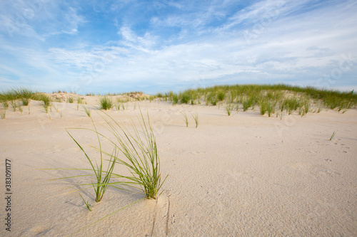 Tall grass growing from sand dunes with cloudy blue sky 