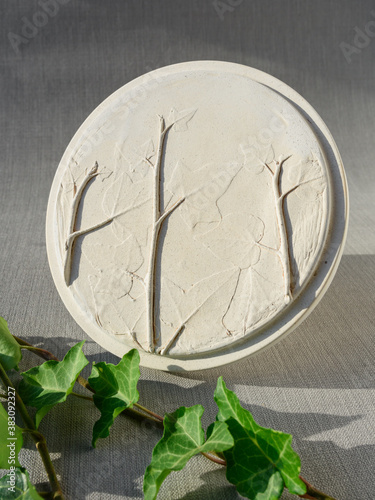 Botanical bas-relief from flowers, succulents, made of gypsum and the sprig of ivy on grey background with shadow in sunlight. flat lay. copy space. Minimal, handmade, eco, nature, styled concept