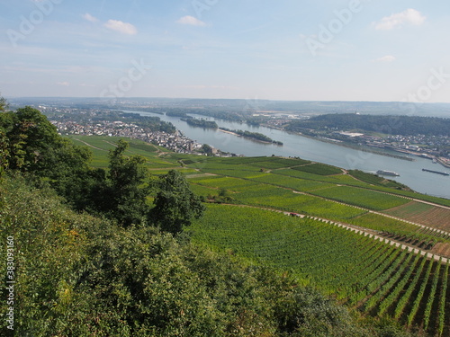 Rüdesheim am Rhein - Bingen – Rhein photo