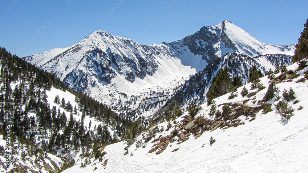 Obraz premium Pyrenees cover with snow during winter and fir trees. Landscape and scenery for winter with mountain range. Scene for ski or hiking sports.
