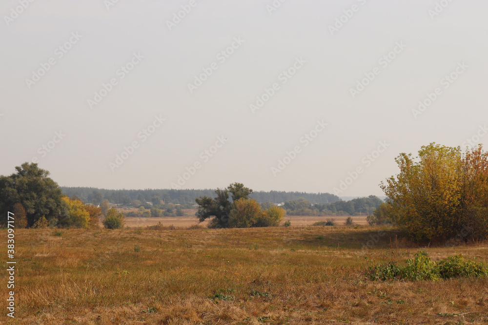 Fototapeta premium autumn landscape