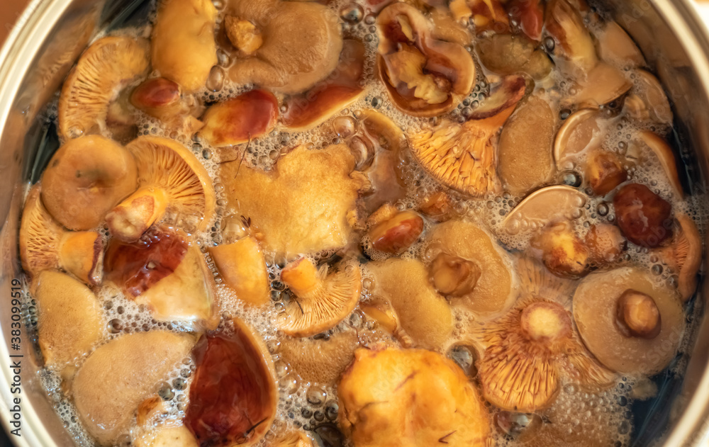 Mushrooms are cooked in a saucepan on the stove Mushrooms are cooked in a saucepan on the stove