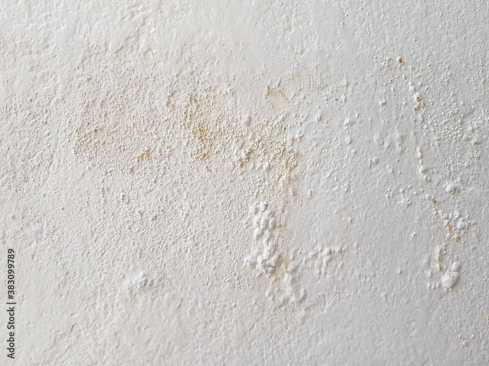 Obraz premium Soft white cement wall for the background.