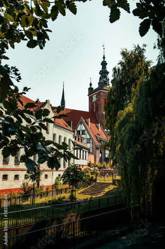 Fototapeta Naklejka Na Ścianę i Meble -  view on Gdansk old city through the trees
