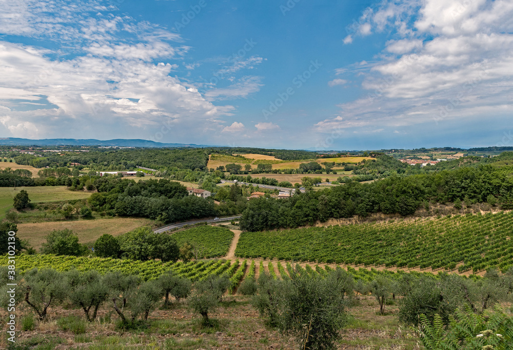 Vineyards at the Tuscany Region in Italy near Monteriggioni 