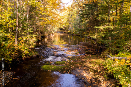 Autumnal view of a peaceful stream surrounded by forest, in Canada