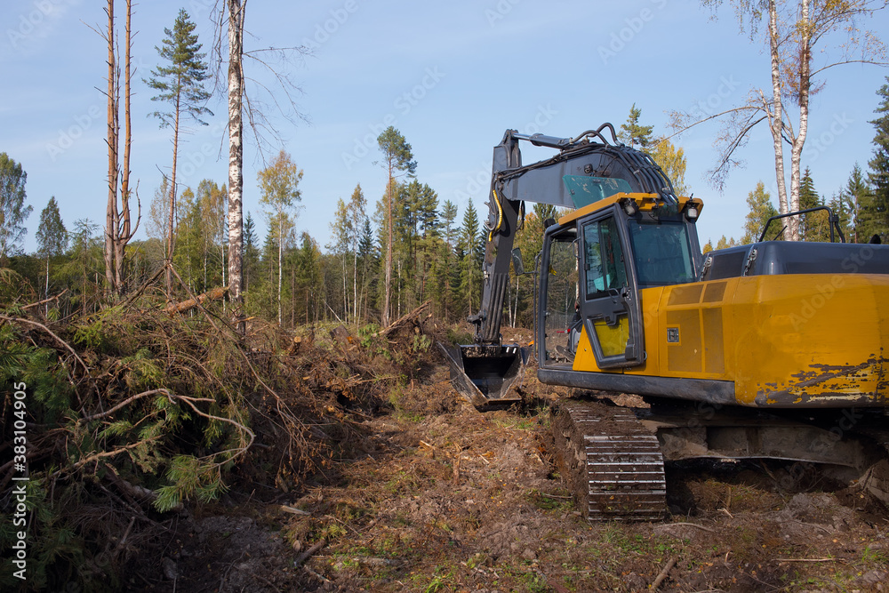 A heavy excavator works in the forest. Works on drainage of the forest area.
