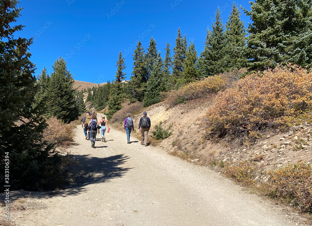 Group of hikers hiking in the White River National Forest Group of hikers hiking in the White River National Forest