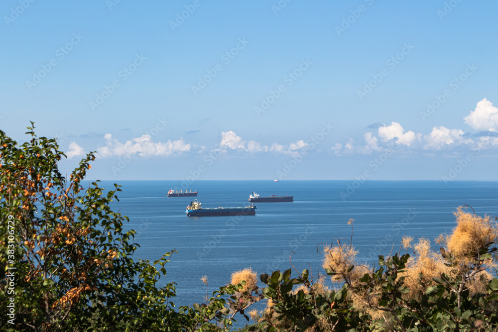 Beautiful summer landscape. Blue sea, clouds over the horizon, and several cargo ships. In the foreground, the tops of green trees. Surroundings of the resort of Gelendzhik. Russia, Black sea coast