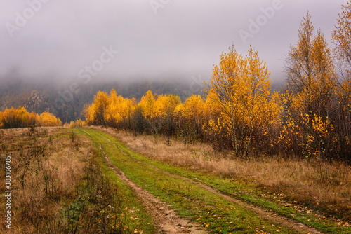Misty late fall landscape with yellow or golden colored trees  fog and dirt road in the mountains
