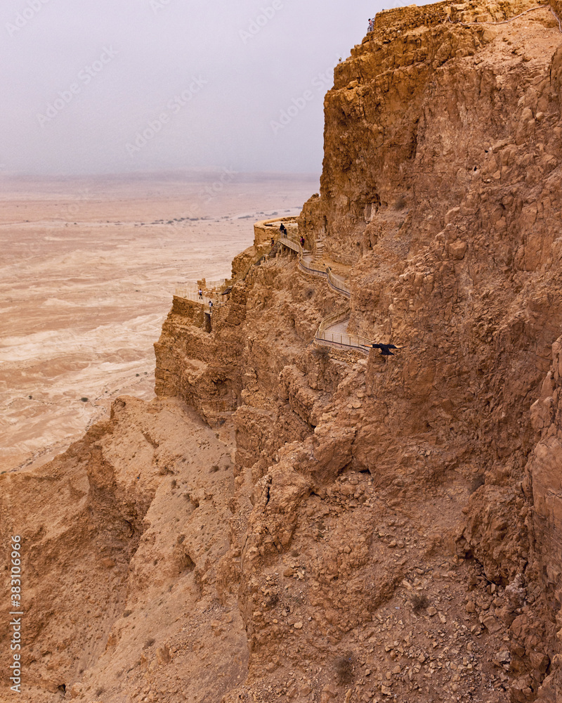 northern palace on the side of tallest cliff at masada fortress in israel with the jordan valley in the background and a flying Tristram's starling bird in the foreground