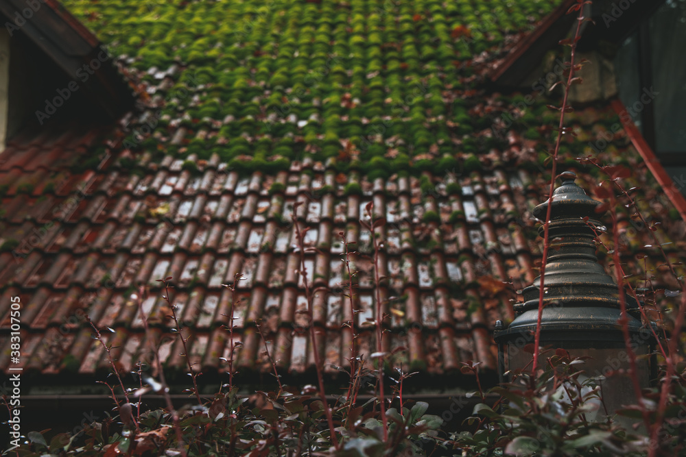 Obraz premium fall season October rainy day concept outdoor photography of garden view on unfocused house wet shingle roof background texture surface and garden bush foliage and lantern foreground