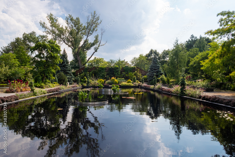 Montreal, Canada - august 2020 : beautiful view of trees reflecting in a water pool in the botanical garden