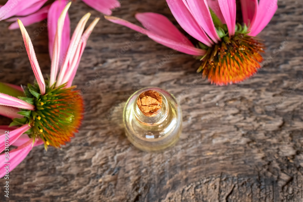A bottle of echinacea essential oil with echinacea flowers A bottle of echinacea essential oil with echinacea flowers