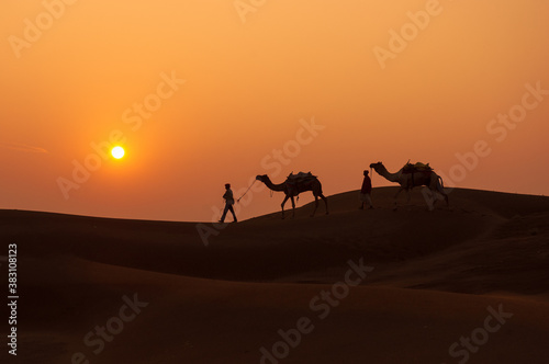 Man and a camel walking across sand dunes in Jaisalmer  Rajasthan  India.