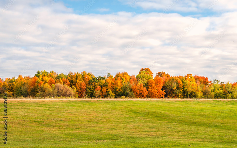 Autumn scenes under sunny day	