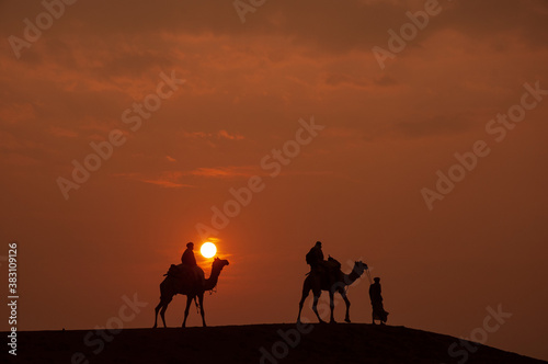 Man and a camel walking across sand dunes in Jaisalmer  Rajasthan  India.