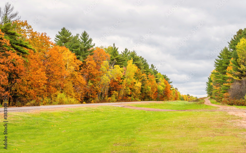 Autumn scenes under sunny day	