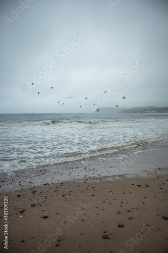 Beach in the morning