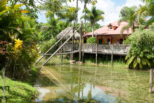 Jamaica's Residential House With A Garden photo