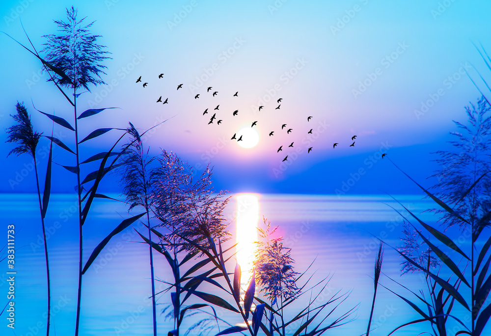 paisaje de un cielo al amanecer sobre el mar en calma Stock Photo | Adobe  Stock
