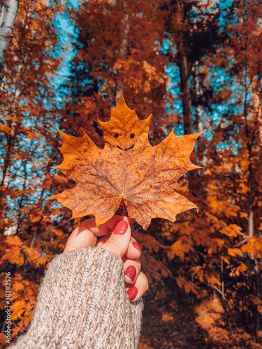 Woman hand hold yellow autumn maple leaf against colorful fallen leavesin the park at sunny day. photo