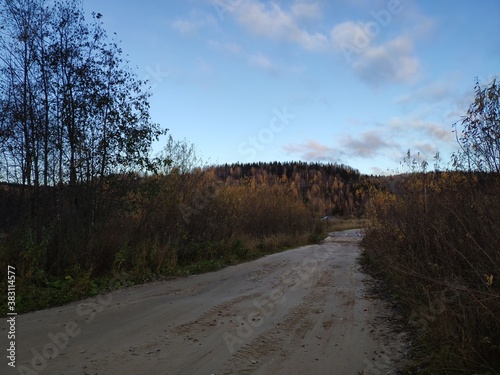 road in the autumn