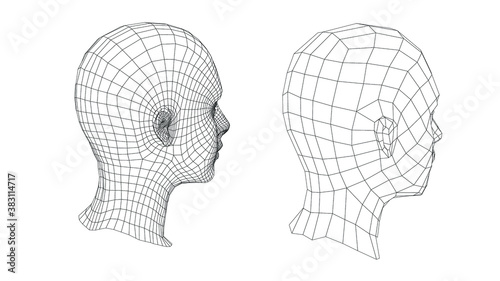 Low poly 3D head, human face structure made of grid. Biometrics, Facial Recognition and Cyber Security concept.