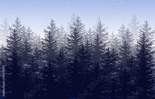 Vector misty forest landscape with silhouettes of coniferous trees.Vector.