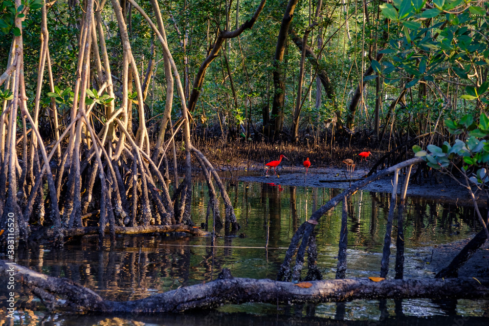 custom made wallpaper toronto digitalmangrove