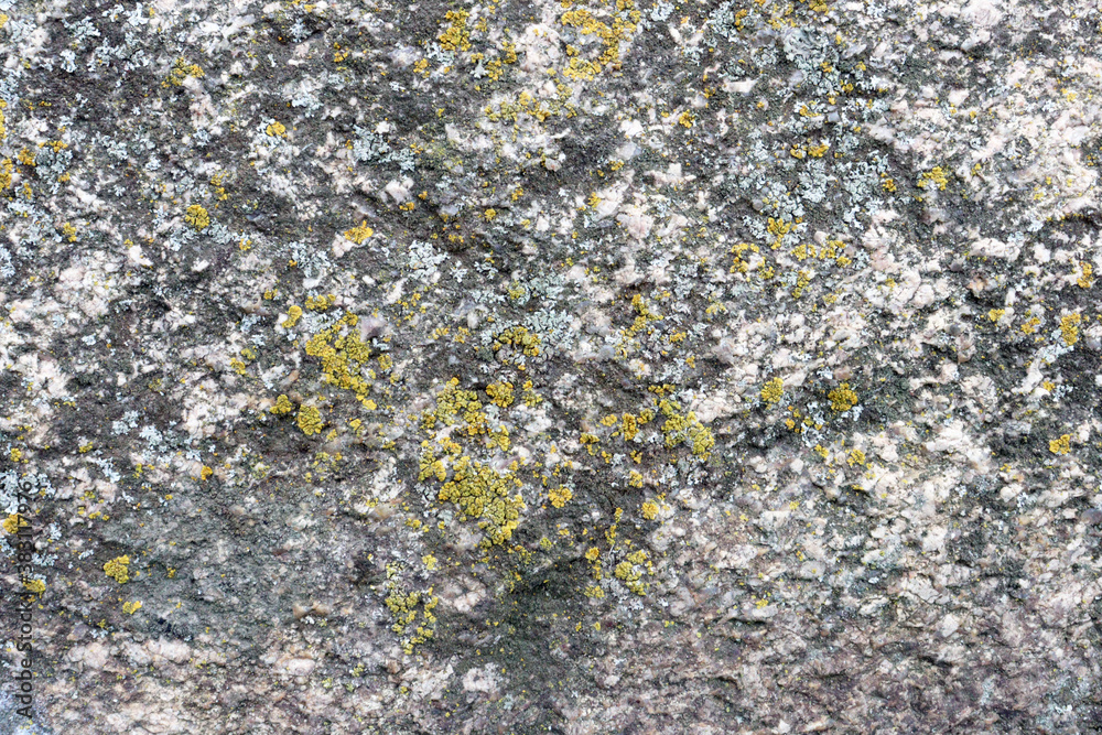Gray stone texture background with moss, close-up Gray stone texture background with moss, close-up