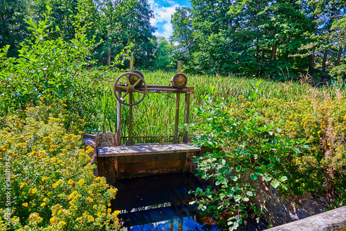 Old rusty weir of a watermill amid green reeds and yellow flowers. photo