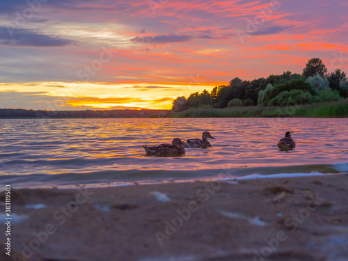 Evening On Lake