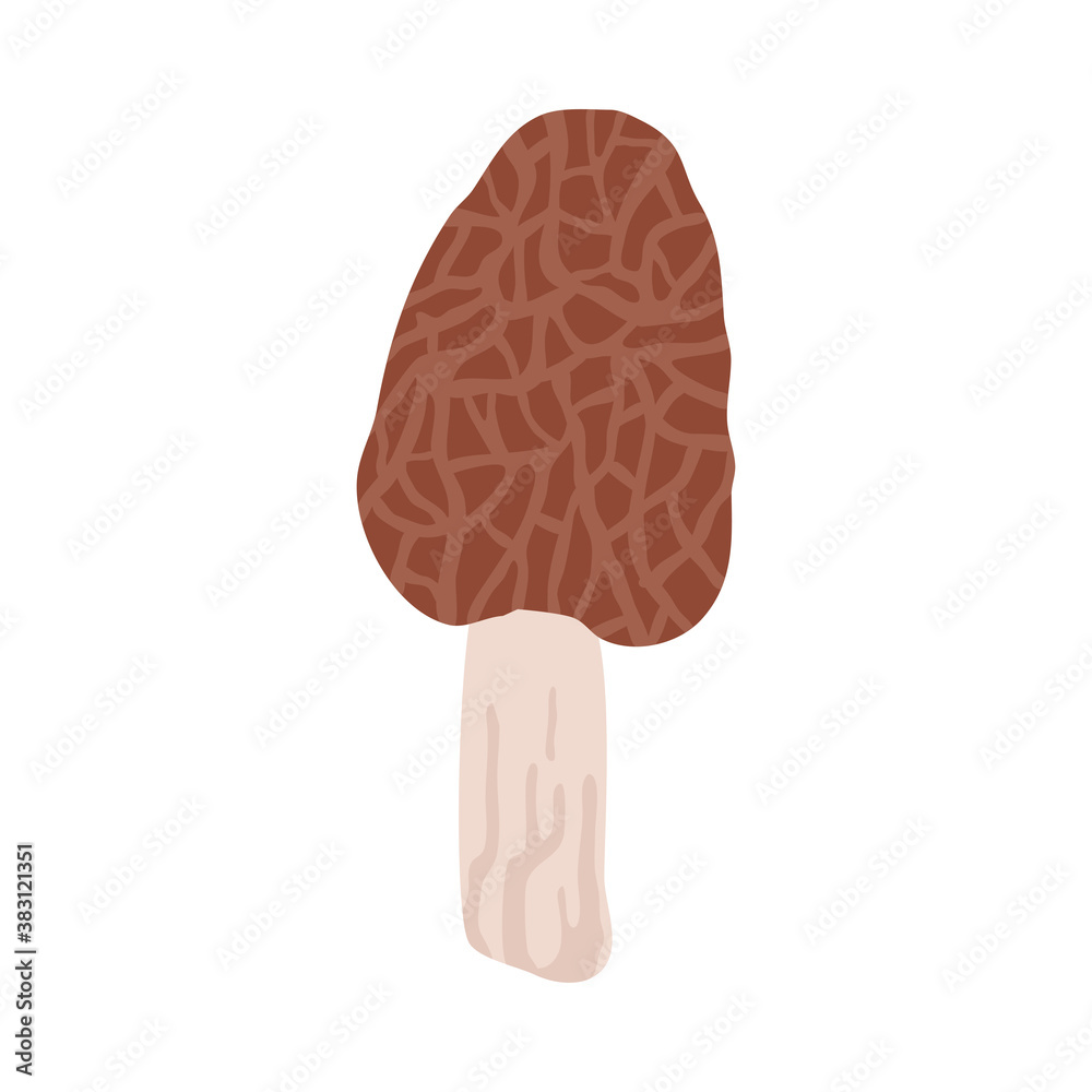 Inedible brown toadstool mushroom picked in autumn season