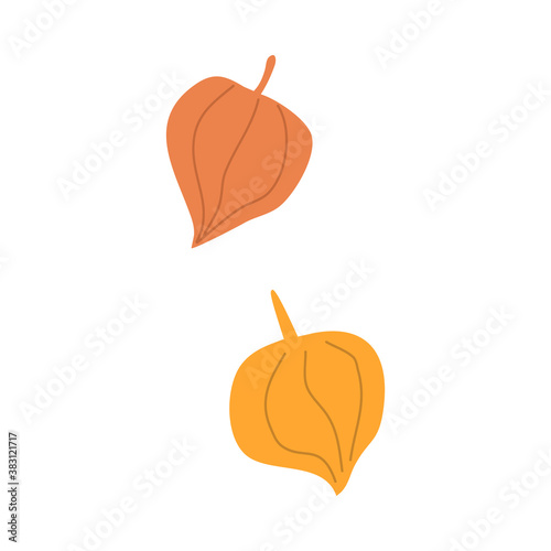 Silhouette of colorful golden autumn seasonal leaves
