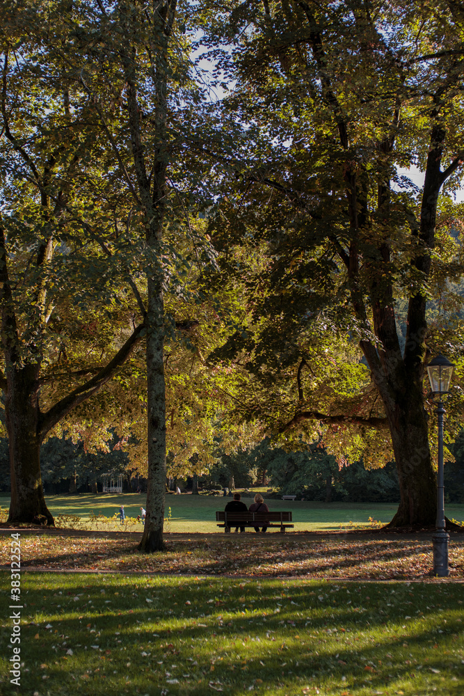 Naklejka premium autumn in the park