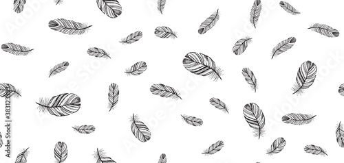 Feather Pattern hand drawn illustration