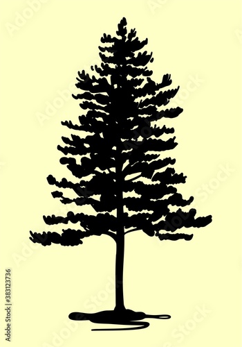 Silhouette of a pine tree. Vector on an isolated background, sketch.