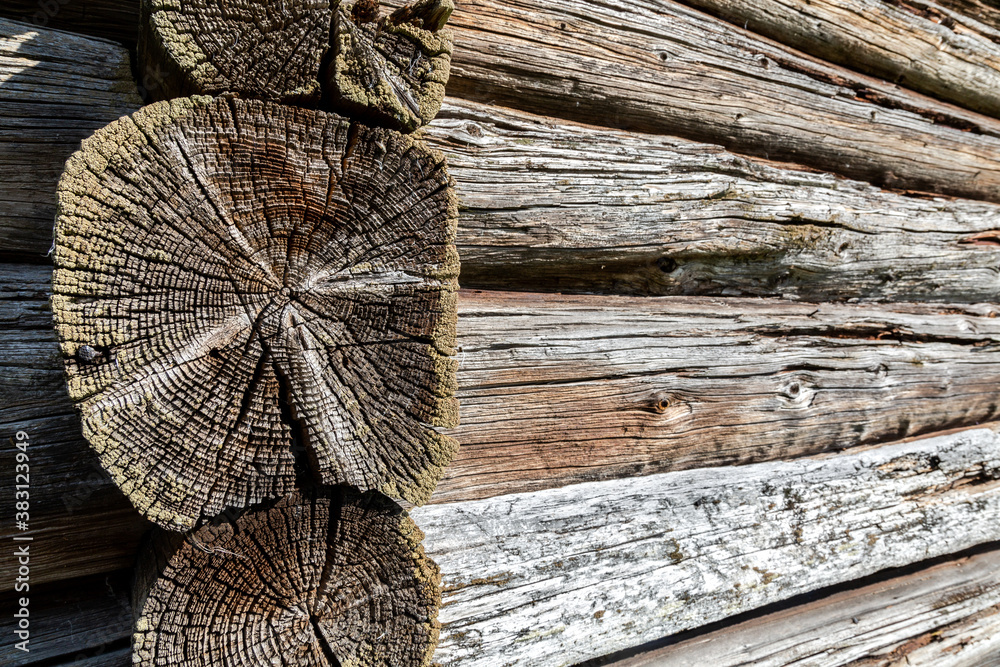 Old rough wooden logs with cracks as background Old rough wooden logs with cracks as background