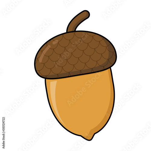 Oak nut, acorn cartoon illustration isolated on white. Autumn symbol, design element. Autumnal clip art, seasonal vector element for thanksgiving invitation. Single oak tree fruits with hat.