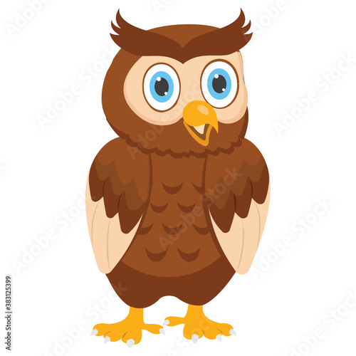  Owl a wise bird 