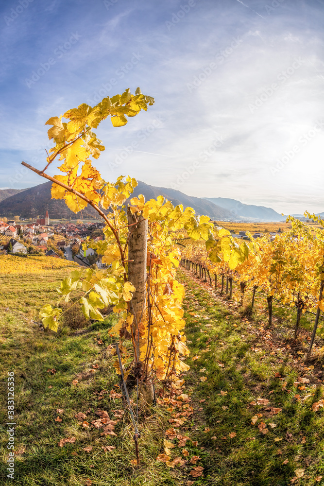 Famous Weissenkirchen village with autumn vineyards in Wachau valley, Austria