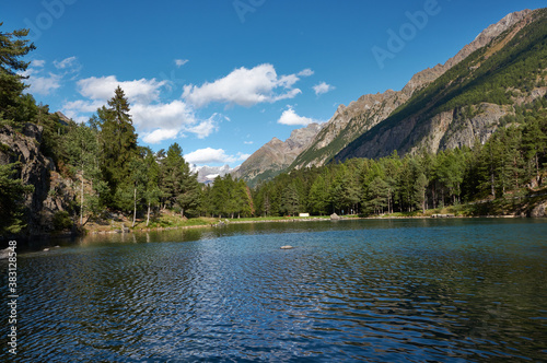 lake framed by trees in the alps against the backdrop of mountains