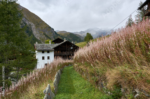 trekking path on the mountainside leading to a typical alpine house